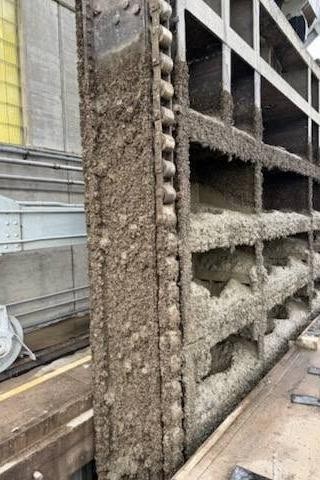 Zebra mussels on dam gate. Photo by USACE Omaha District - Gavins Point Dam/Lewis & Clark Visitor Center.