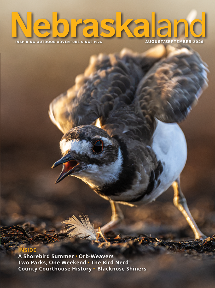View August-September 2026 Issue