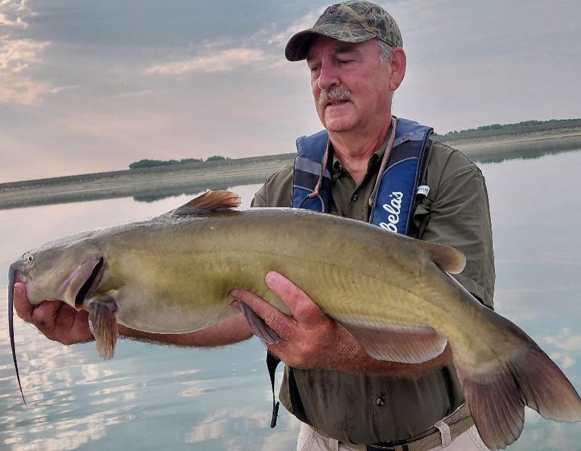 Angler holding channel catfish. 
