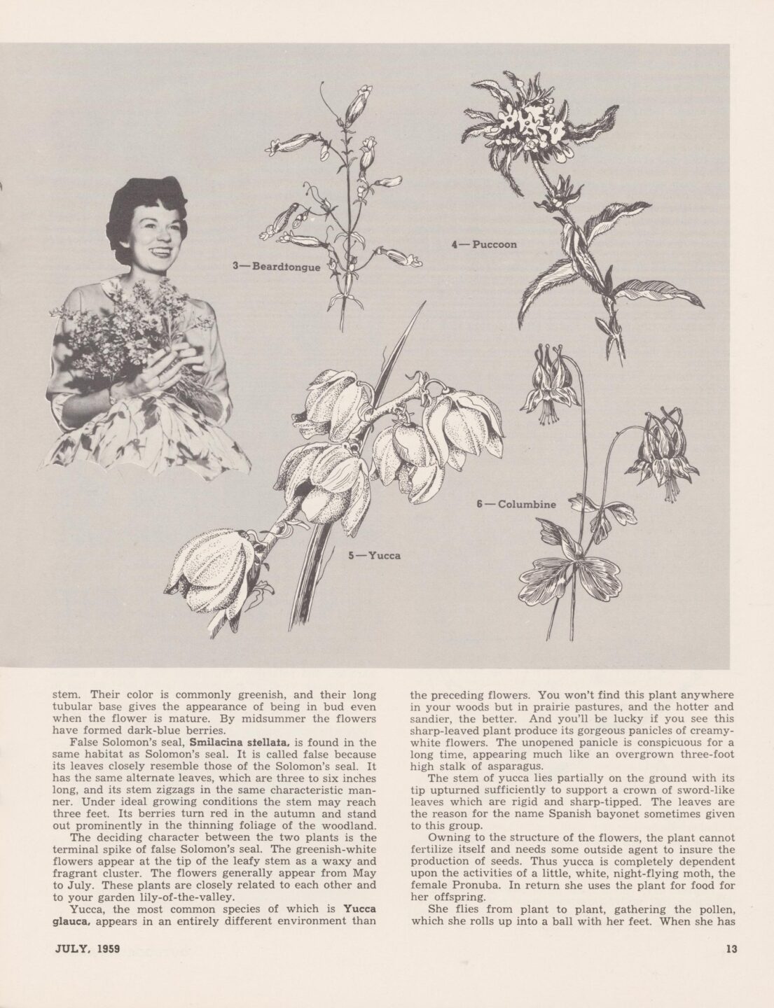 In 1959, associate editor Mary Brashier wrote Nebraskaland’s first wildflower feature, “Flowering Fun,” helping set the stage for native plants to appear more prominently in the magazine.