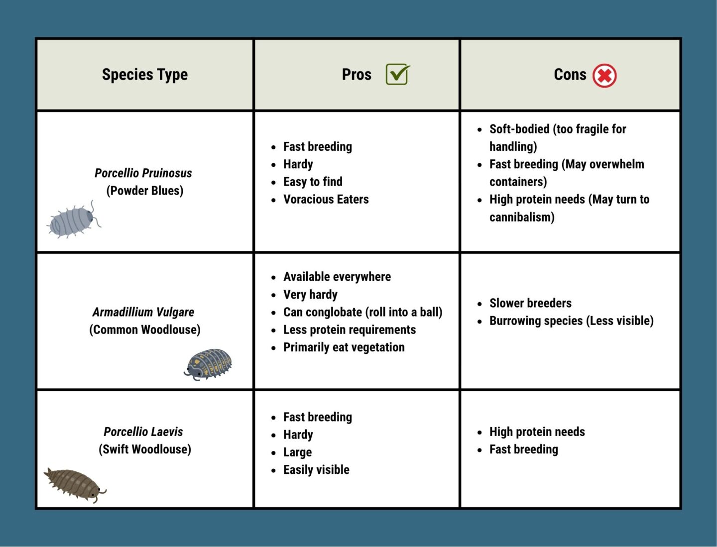 Isopod species comparison guide.