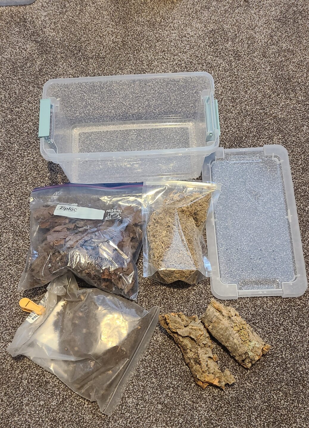 Items needed for an Isopod starter kit.