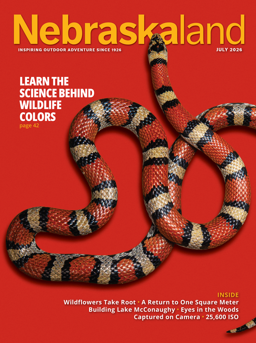 View July 2026 Issue