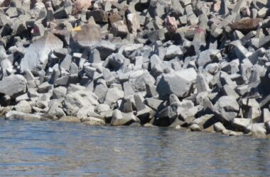 Rocky face of Kingsley Dam.