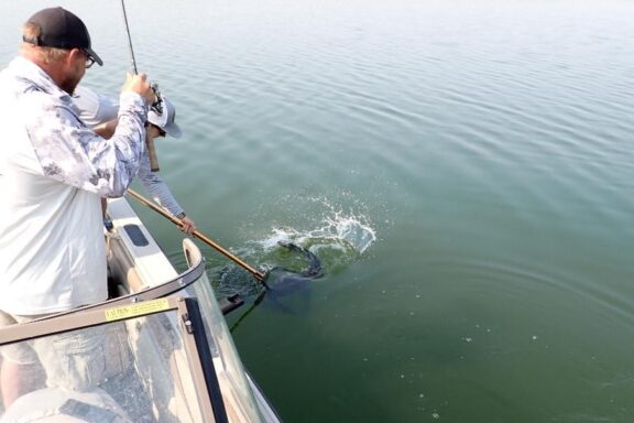 Big fish being netted in boat.
