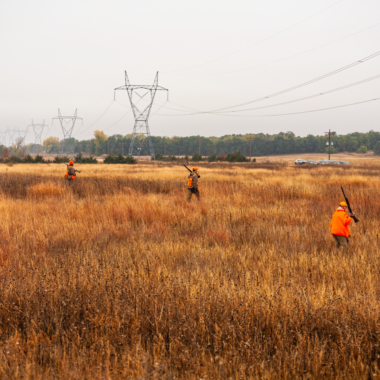 Hunters walk across a Conservation Reserve Program field in northeastern Nebraska. Jenny Nguyen-Wheatley