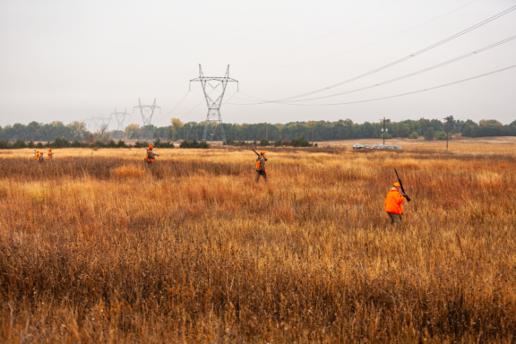 Hunters walk across a Conservation Reserve Program field in northeastern Nebraska. Jenny Nguyen-Wheatley