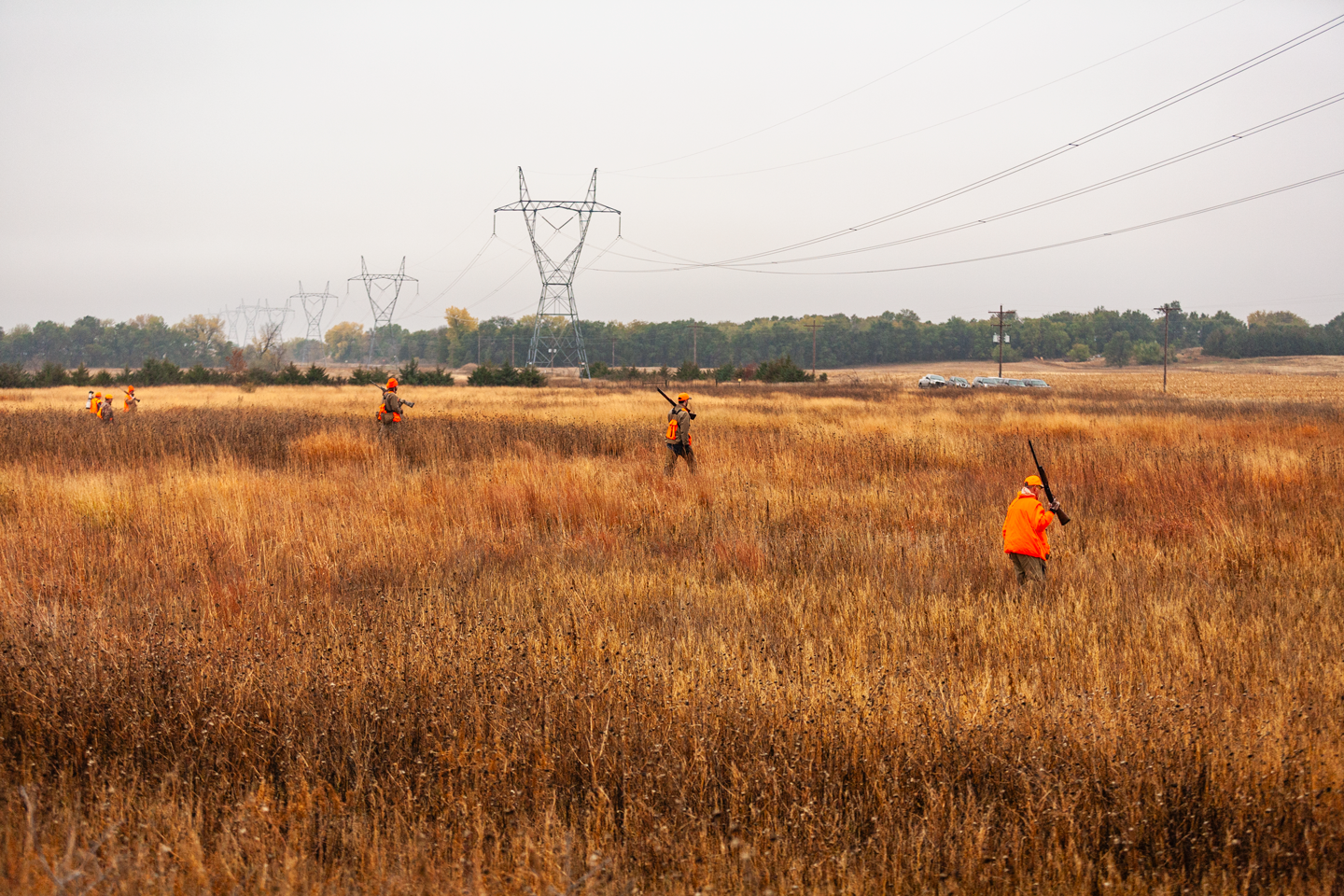 Hunters walk across a Conservation Reserve Program field in northeastern Nebraska. Jenny Nguyen-Wheatley