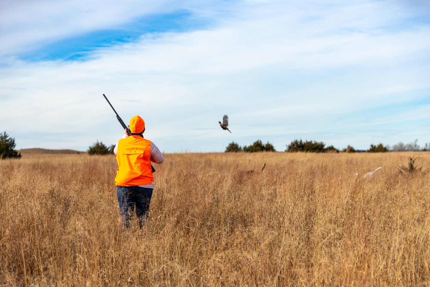 A pheasant flushes for Calandra McCool of Omaha during a Becoming an Outdoors-Woman hunt in Bartlett.