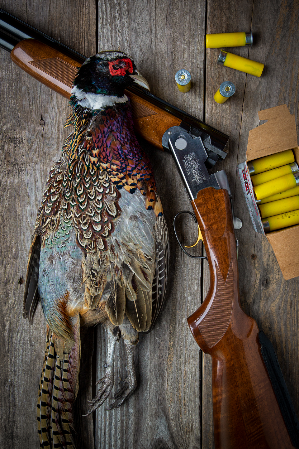 Rooster pheasant, over-under shotgun and 20 gauge shells. Jenny Nguyen-Wheatley