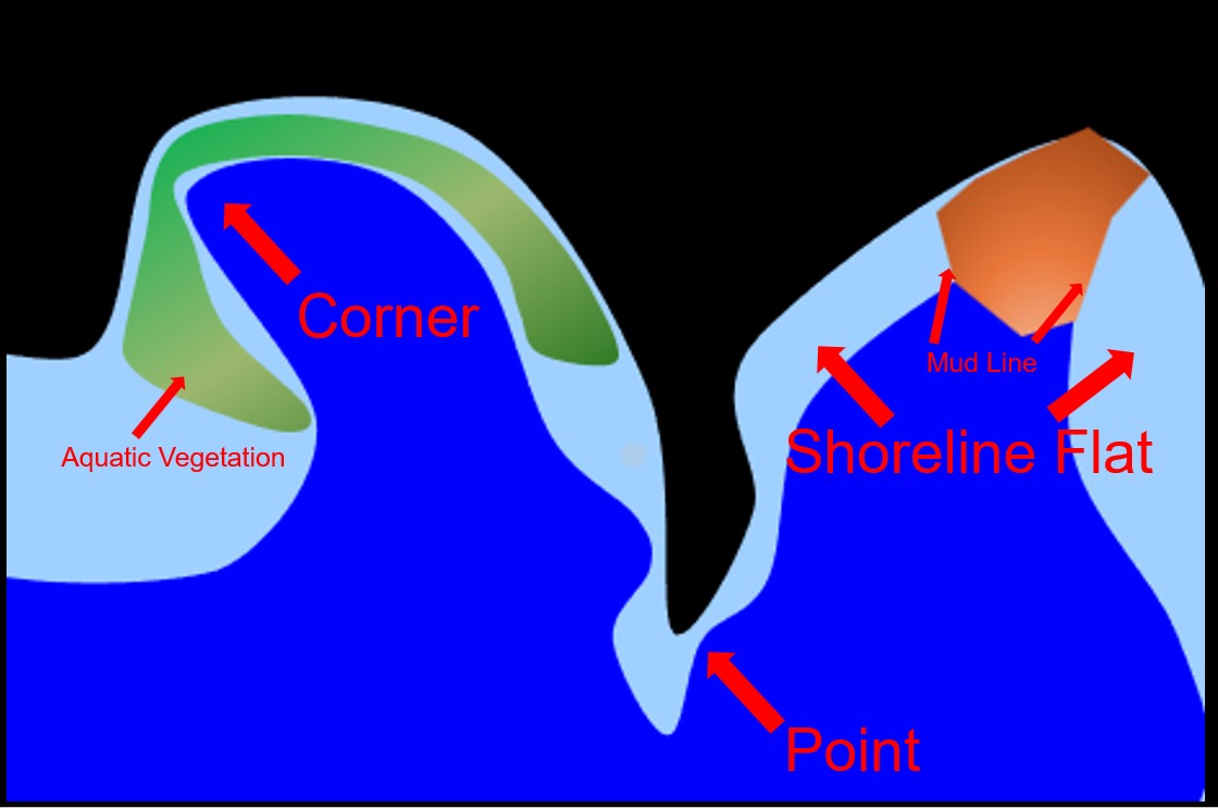 Illustration showing point, corner and shoreline flat on a waterbody. Illustration by Daryl Bauer, Nebraska Game & Parks Commission.